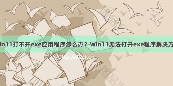 Win11打不开exe应用程序怎么办？Win11无法打开exe程序解决方法