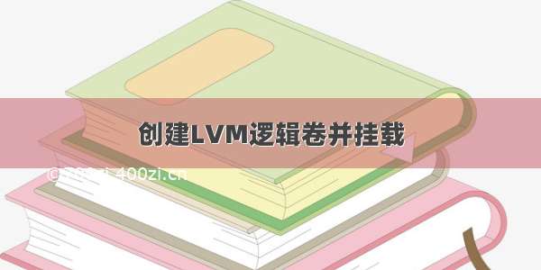 创建LVM逻辑卷并挂载