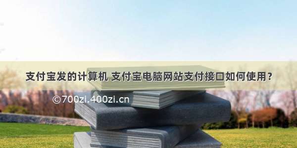 支付宝发的计算机 支付宝电脑网站支付接口如何使用？