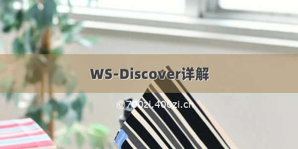 WS-Discover详解