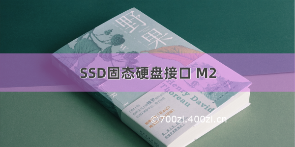 SSD固态硬盘接口 M2