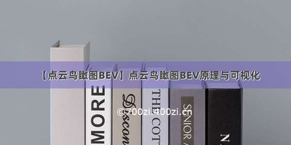 【点云鸟瞰图BEV】点云鸟瞰图BEV原理与可视化