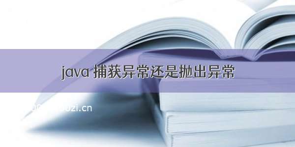 java 捕获异常还是抛出异常