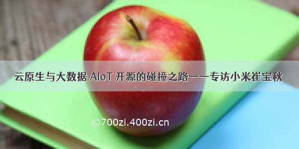 云原生与大数据 AIoT 开源的碰撞之路——专访小米崔宝秋