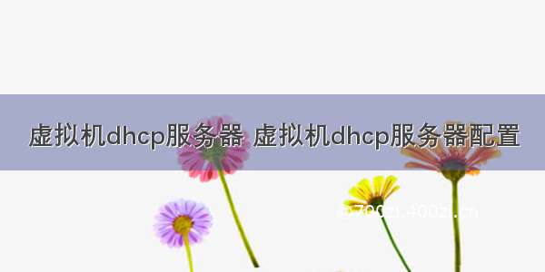 虚拟机dhcp服务器 虚拟机dhcp服务器配置