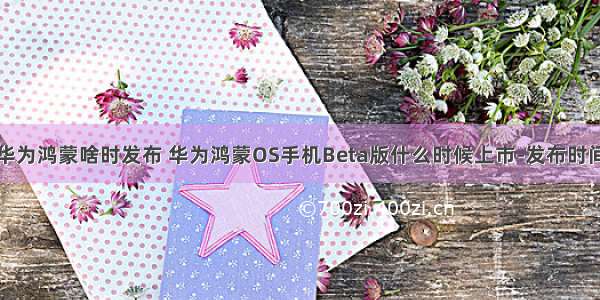 华为鸿蒙啥时发布 华为鸿蒙OS手机Beta版什么时候上市-发布时间