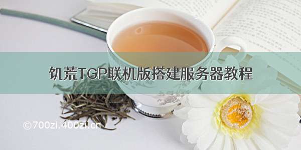 饥荒TGP联机版搭建服务器教程