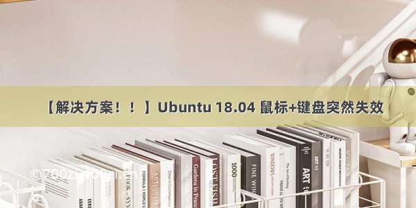 【解决方案！！】Ubuntu 18.04 鼠标+键盘突然失效