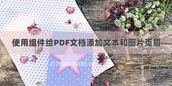 使用组件给PDF文档添加文本和图片页眉