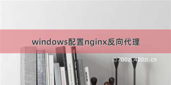 windows配置nginx反向代理