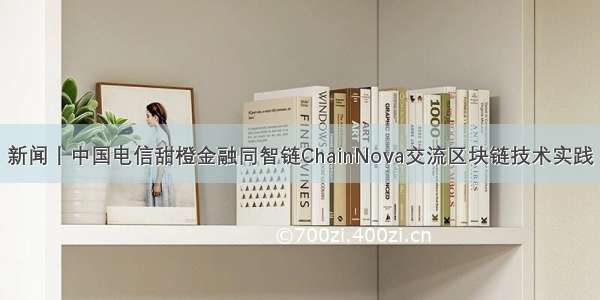 新闻丨中国电信甜橙金融同智链ChainNova交流区块链技术实践