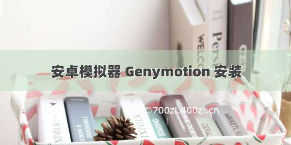 安卓模拟器 Genymotion 安装