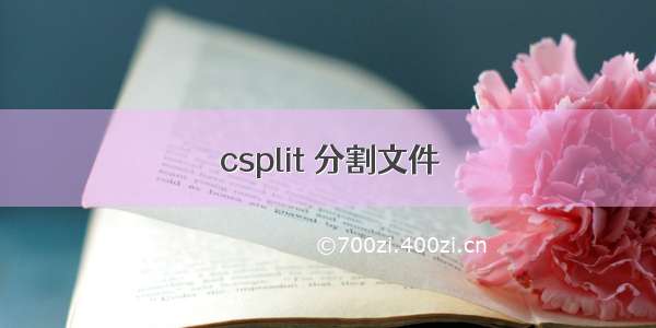 csplit 分割文件