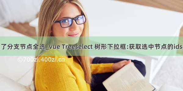 treeselect只选了分支节点全选_vue Treeselect 树形下拉框:获取选中节点的ids和lables操作...