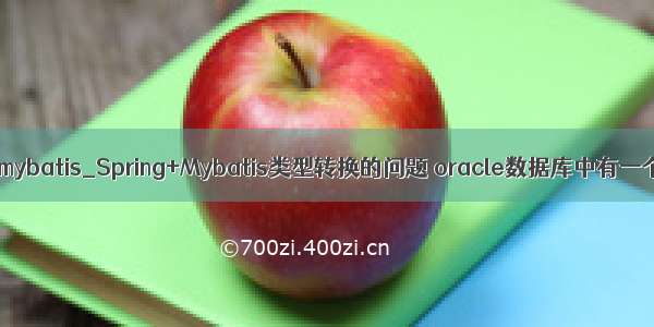 long转string mybatis_Spring+Mybatis类型转换的问题 oracle数据库中有一个clob类型