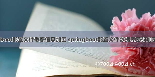 SpringBoot配置文件敏感信息加密 springboot配置文件数据库密码加密jasypt