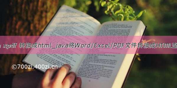 java xpdf 转换成html_java将Word/Excel/PDF文件转换成HTML整理