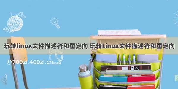 玩转linux文件描述符和重定向 玩转Linux文件描述符和重定向