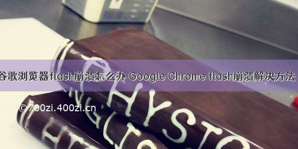 谷歌浏览器flash崩溃怎么办 Google Chrome flash崩溃解决方法