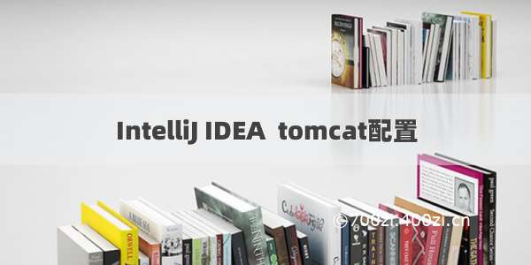 IntelliJ IDEA  tomcat配置