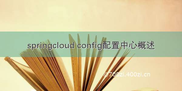 springcloud config配置中心概述