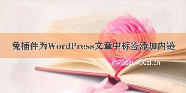 免插件为WordPress文章中标签添加内链