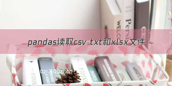 pandas读取csv txt和xlsx文件