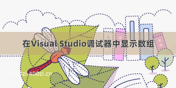 在Visual Studio调试器中显示数组