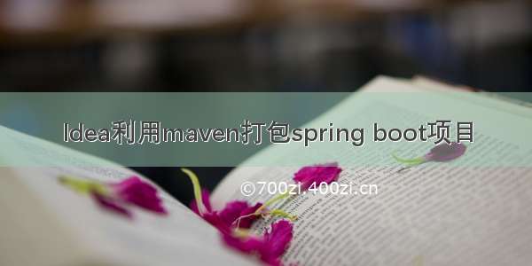 Idea利用maven打包spring boot项目