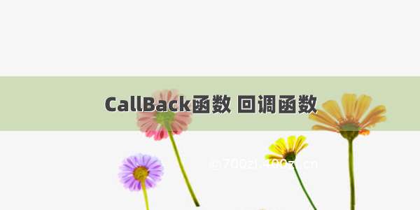 CallBack函数 回调函数