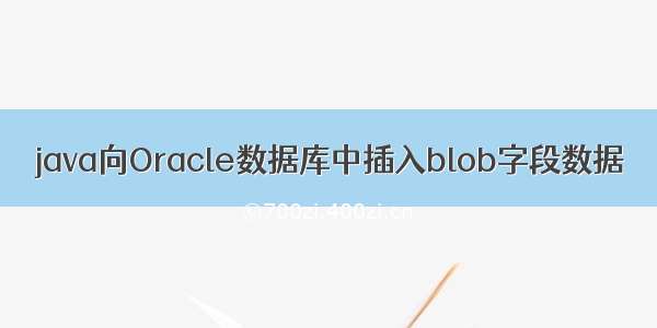 java向Oracle数据库中插入blob字段数据