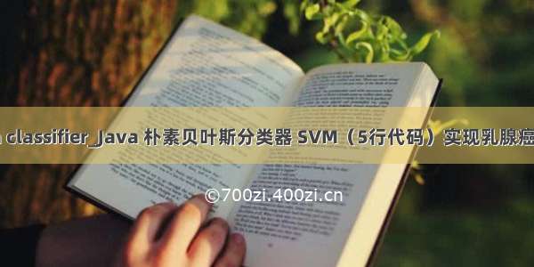 java classifier_Java 朴素贝叶斯分类器 SVM（5行代码）实现乳腺癌分类