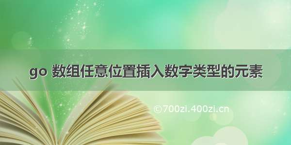 go 数组任意位置插入数字类型的元素