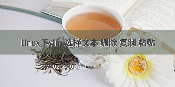 linux下vim 选择文本 删除 复制 粘贴