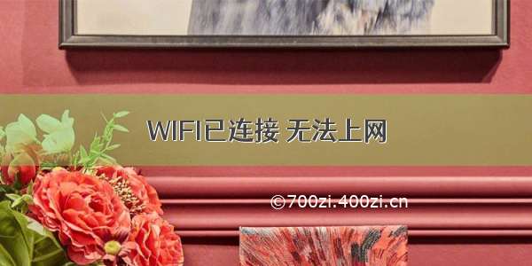 WIFI已连接 无法上网