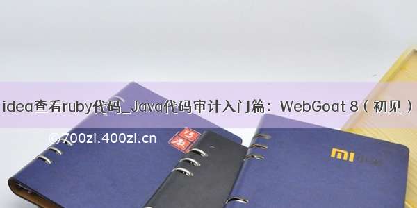 idea查看ruby代码_Java代码审计入门篇：WebGoat 8（初见）