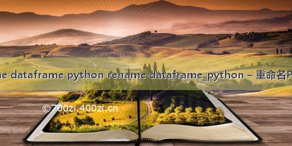 python rename dataframe python rename dataframe_python – 重命名Pandas DataFra