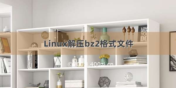 Linux解压bz2格式文件