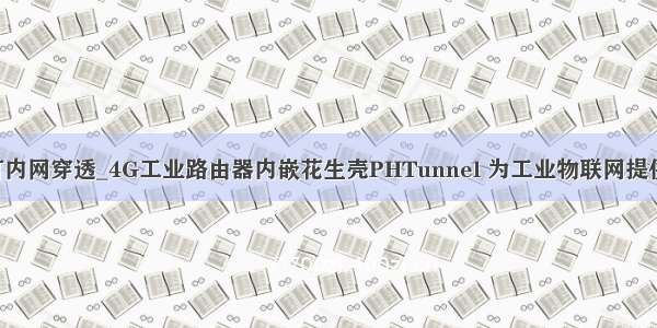 linux下配置钉钉内网穿透_4G工业路由器内嵌花生壳PHTunnel 为工业物联网提供智能内网穿透...