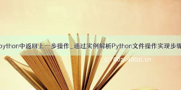 python中返回上一步操作_通过实例解析Python文件操作实现步骤