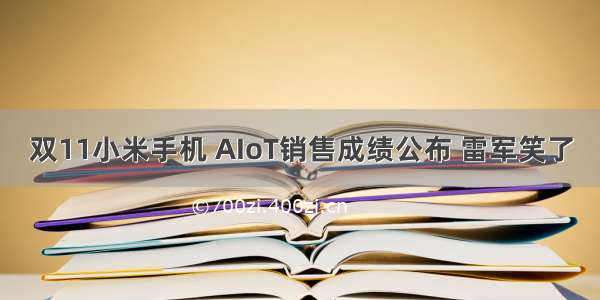 双11小米手机 AIoT销售成绩公布 雷军笑了