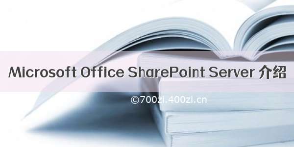 Microsoft Office SharePoint Server 介绍