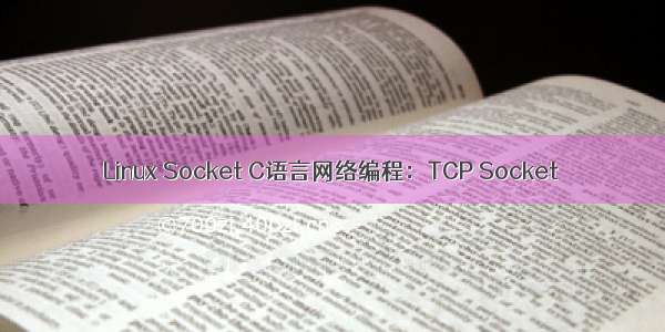 Linux Socket C语言网络编程：TCP Socket