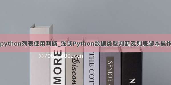 python列表使用判断_浅谈Python数据类型判断及列表脚本操作