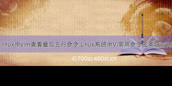 linux中vim查看最后五行命令 Linux系统中Vi常用命令及高级应用