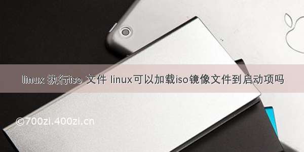 linux 执行iso 文件 linux可以加载iso镜像文件到启动项吗