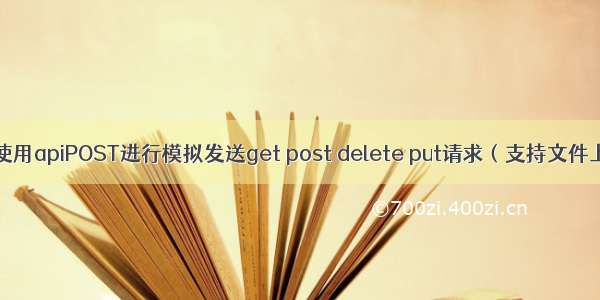 如何使用apiPOST进行模拟发送get post delete put请求（支持文件上传）