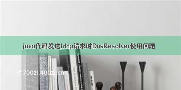 java代码发送http请求时DnsResolver使用问题