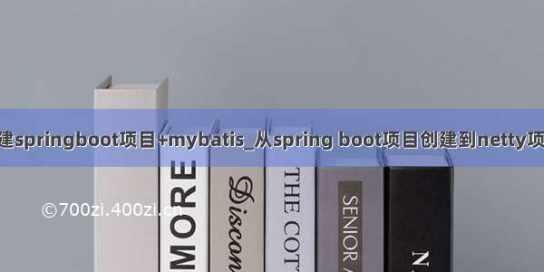 idea创建springboot项目+mybatis_从spring boot项目创建到netty项目过渡1