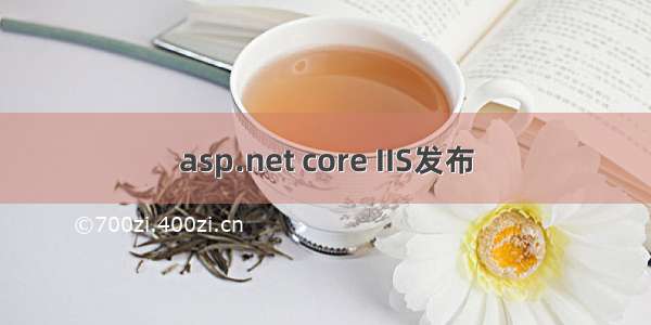 asp.net core IIS发布